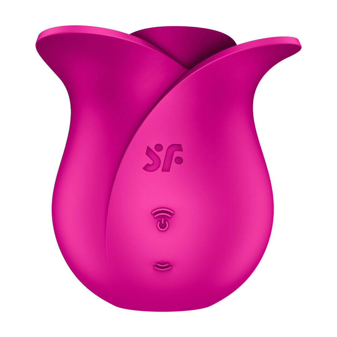 Pro 2 – Modern Blossom – Air Pulse Vibrator – Modern Pink