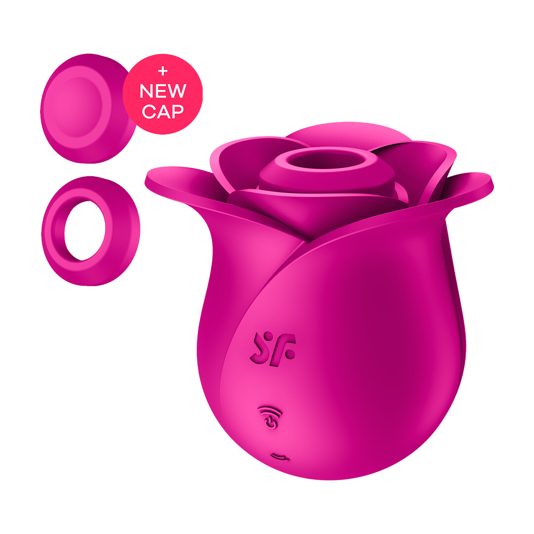 Pro 2 – Modern Blossom – Air Pulse Vibrator – Modern Pink