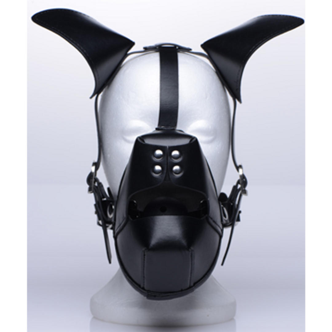 Pup – Puppy Speelmasker + Ademend Ballgag