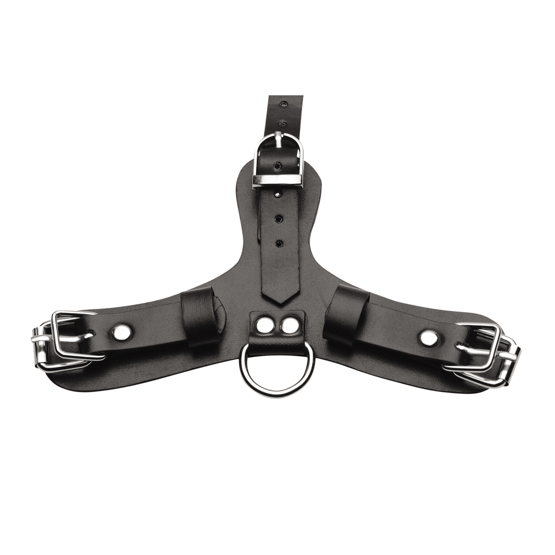 Pup – Puppy Speelmasker + Ademend Ballgag