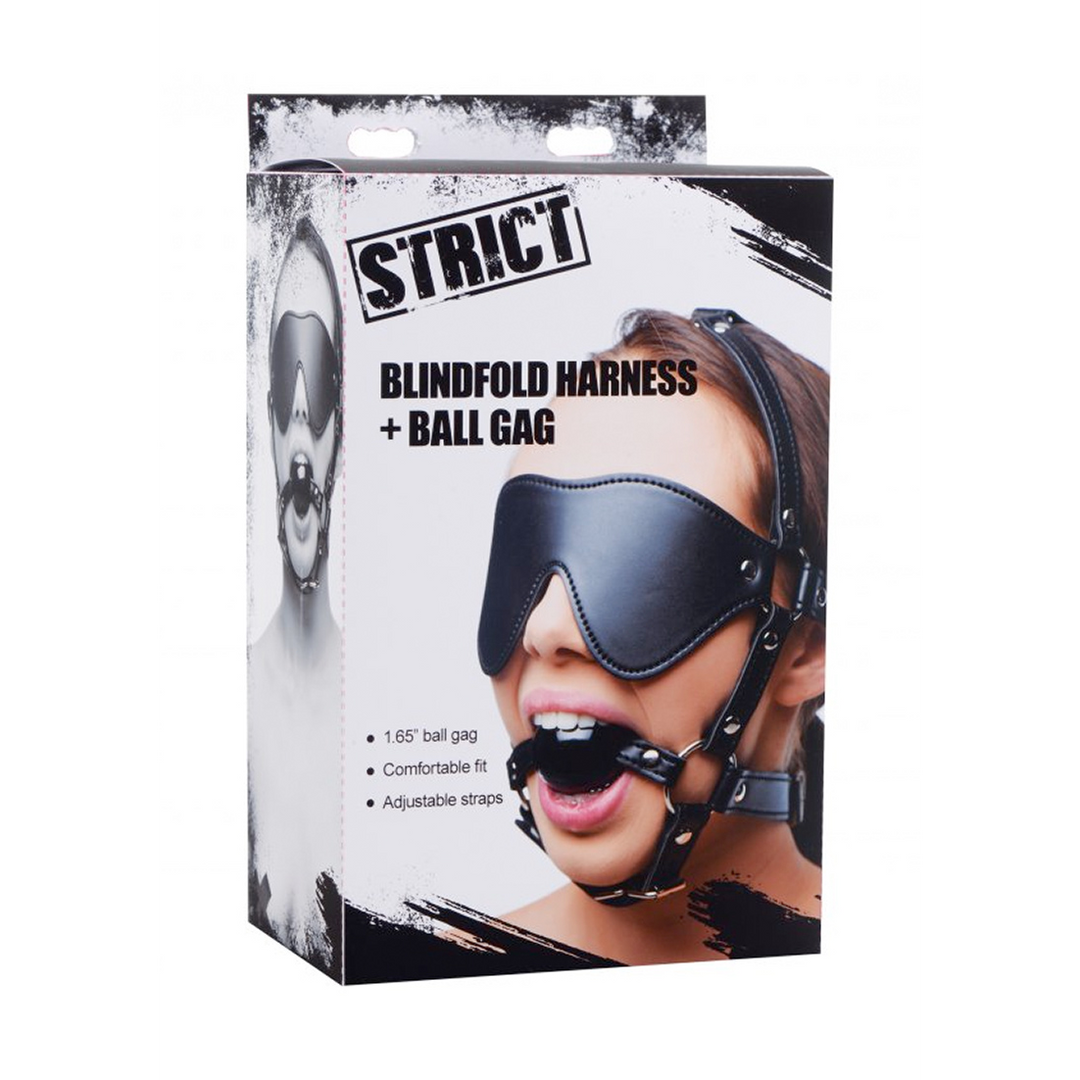 Oogmasker met Ballgag Harness