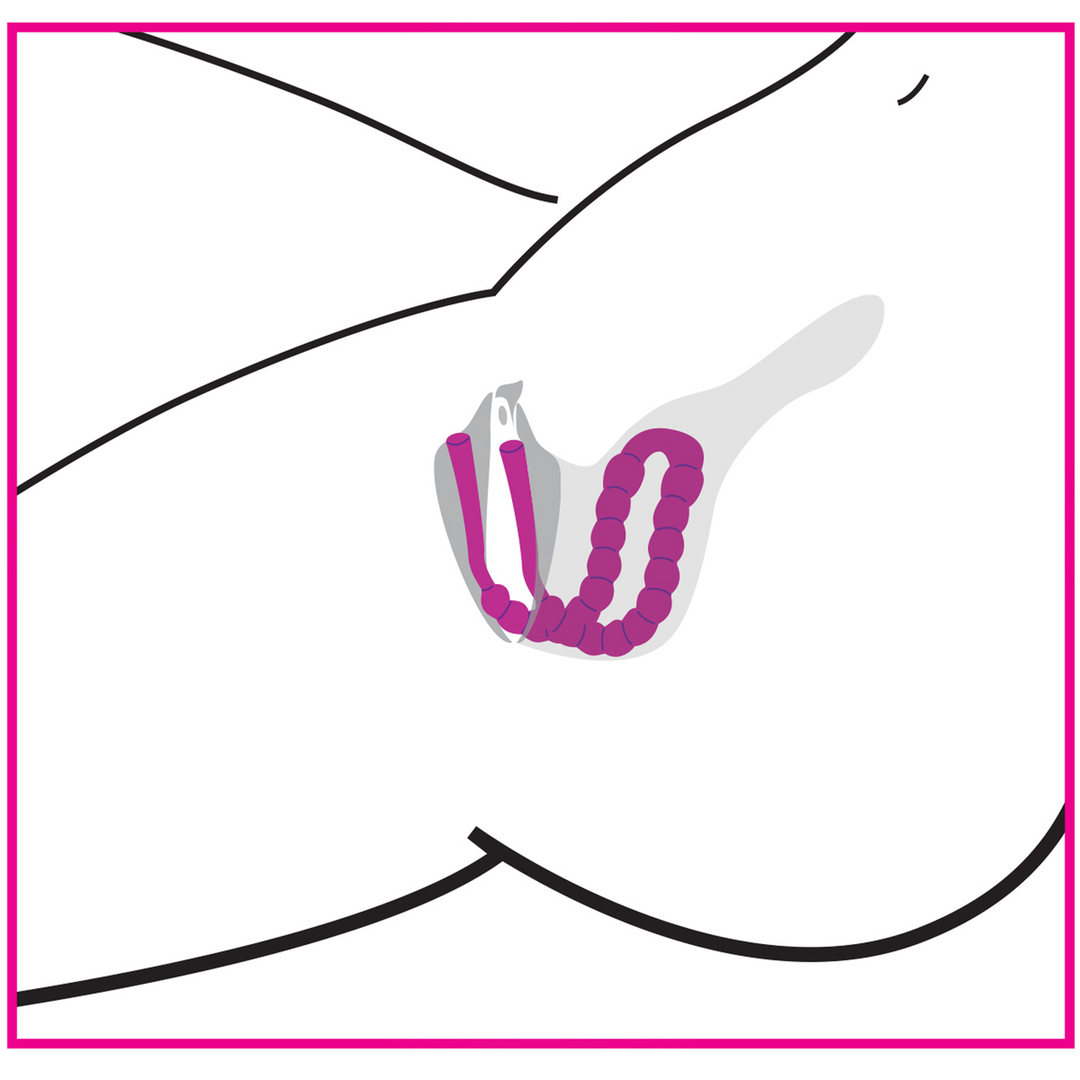 Petal Pusher – Siliconen Labia Spreader