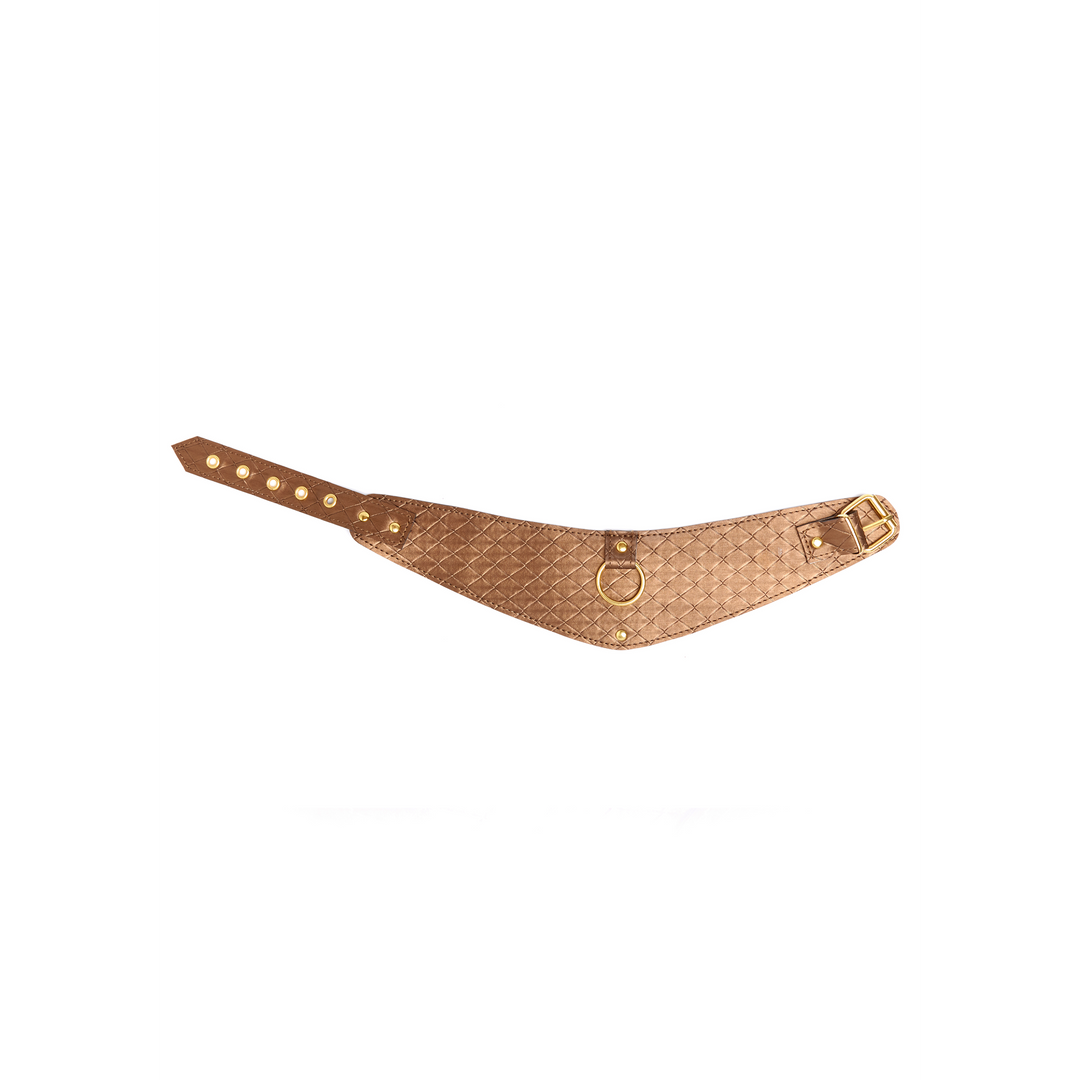 Look at Me – Posture Collar