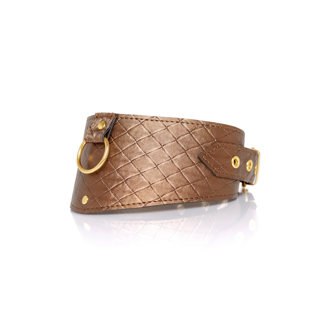 Look at Me – Posture Collar