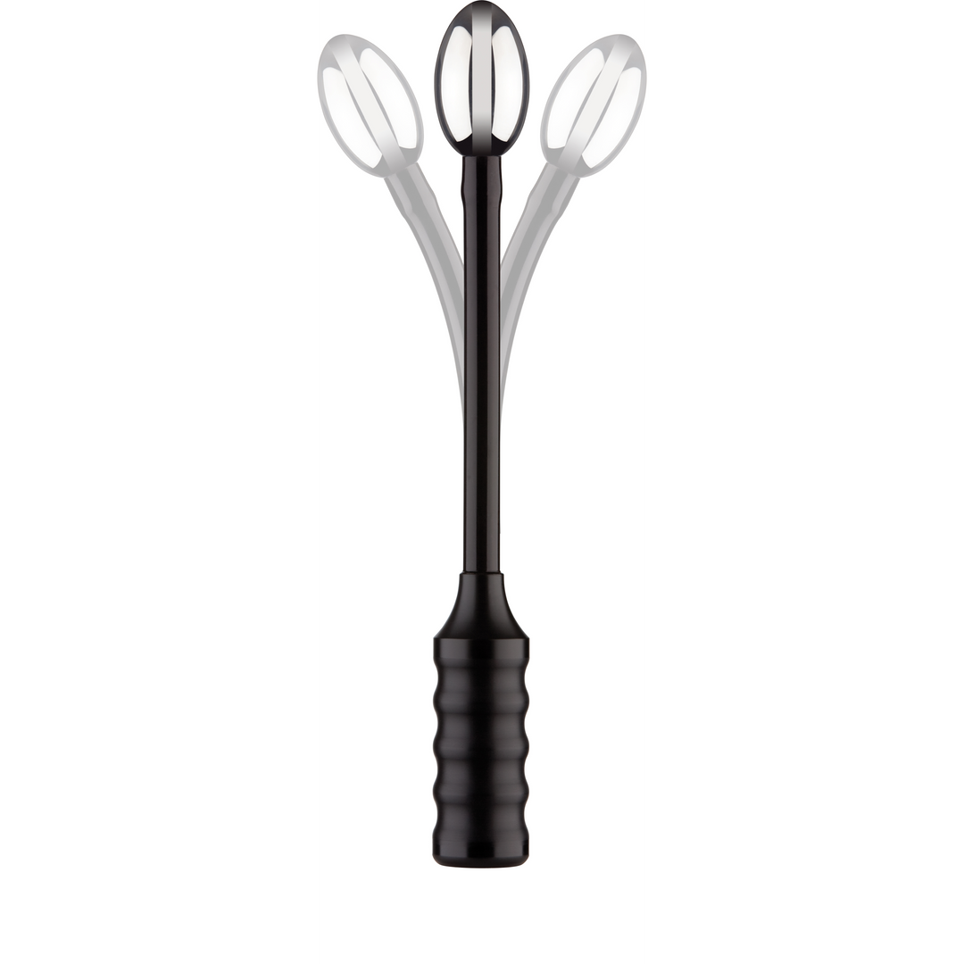 Diepe Oplading Electro Dildo