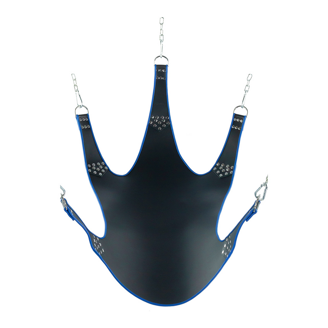 Leren Band met Blauwe Bies 5 Punten