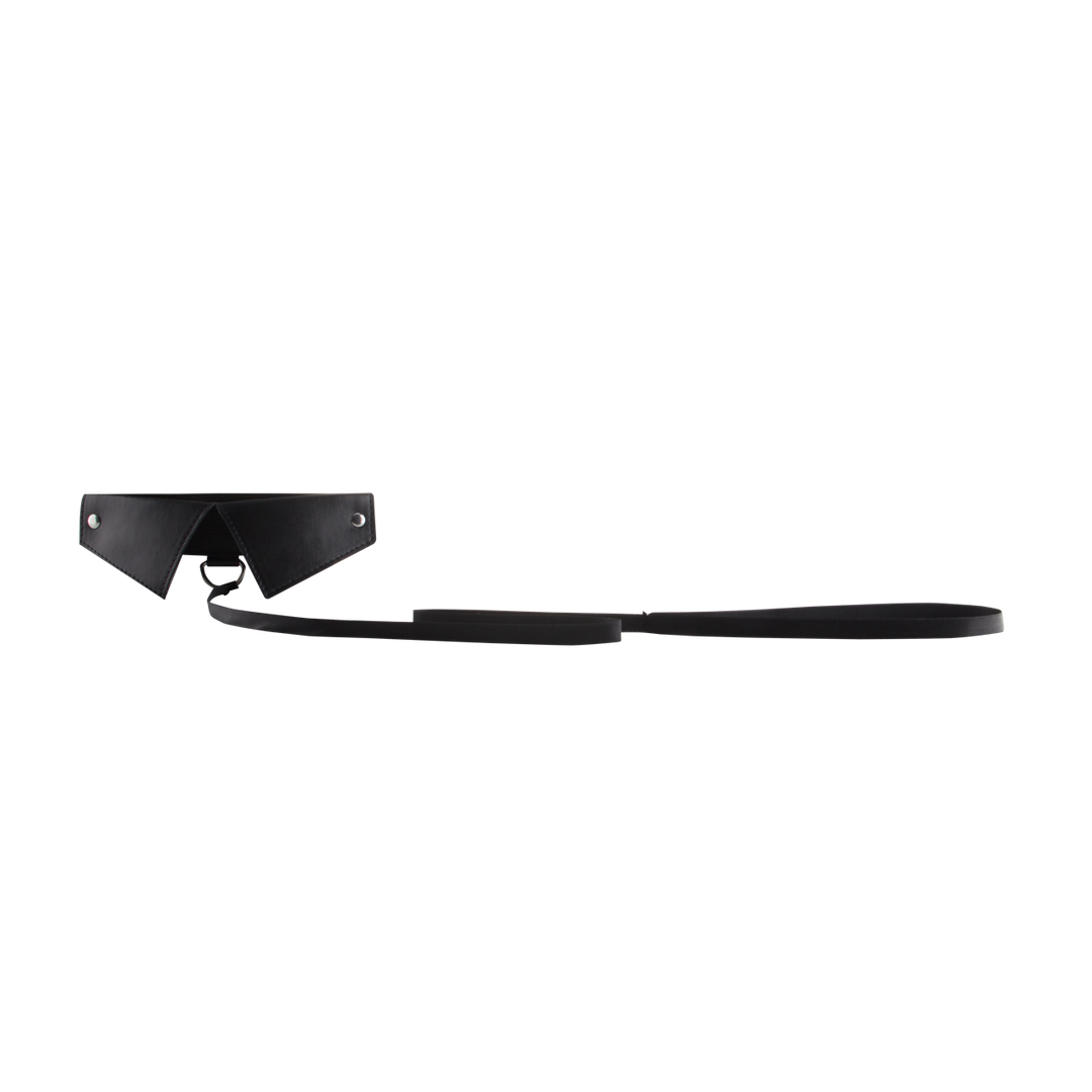 Exclusieve Halsband  Leash