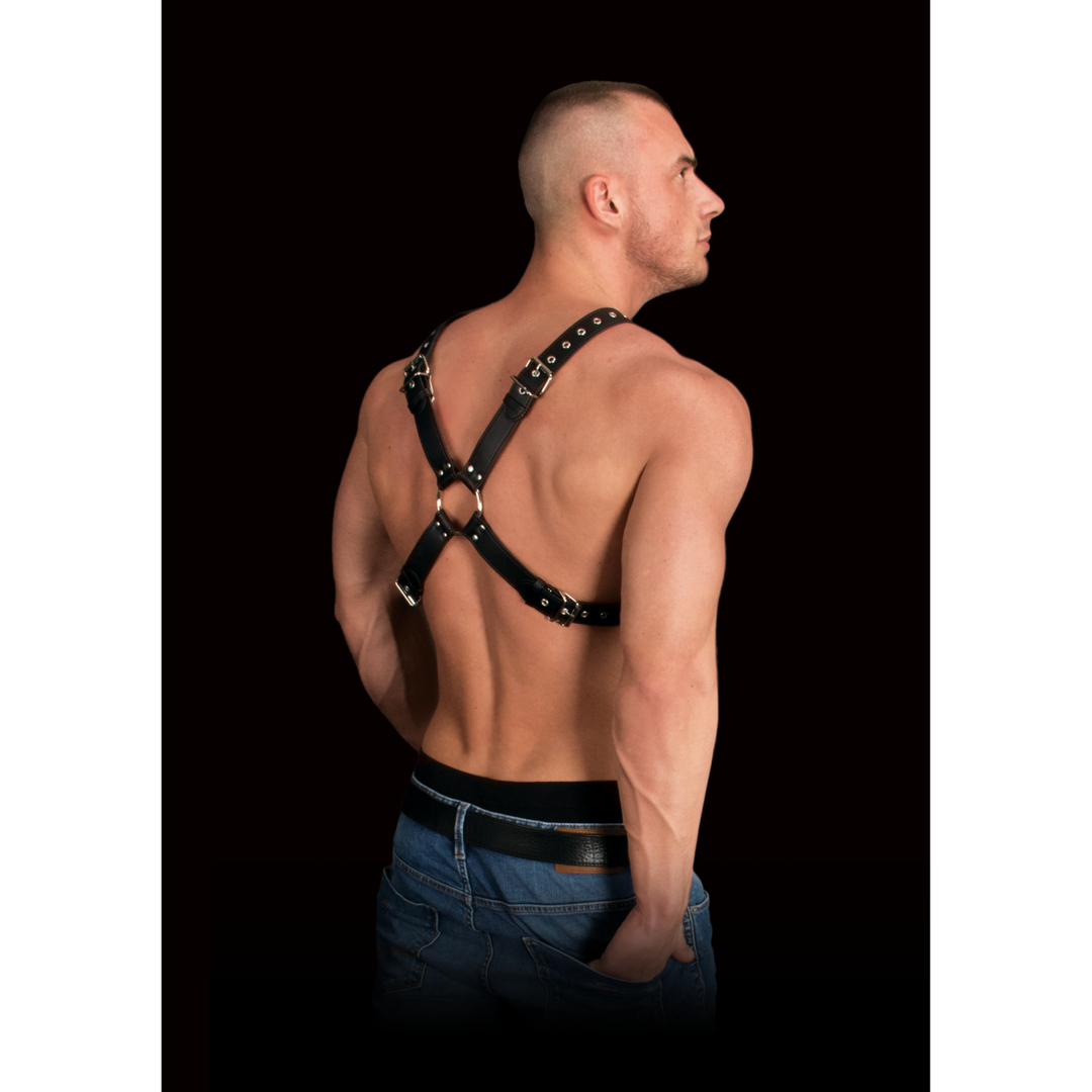Adonis – Hoge Halter Harnas
