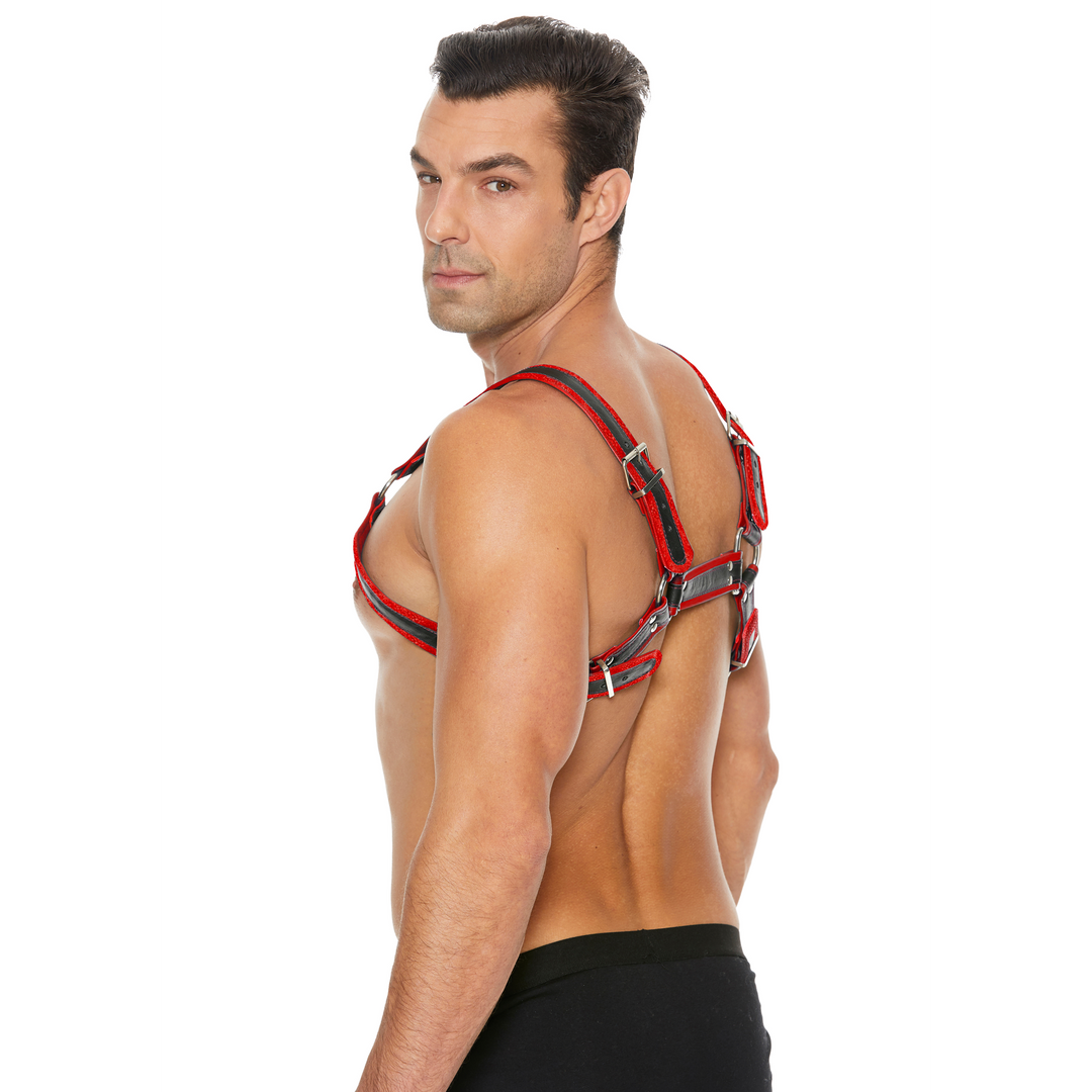 Leren Bulldog Harnas met Gespen – L/XL