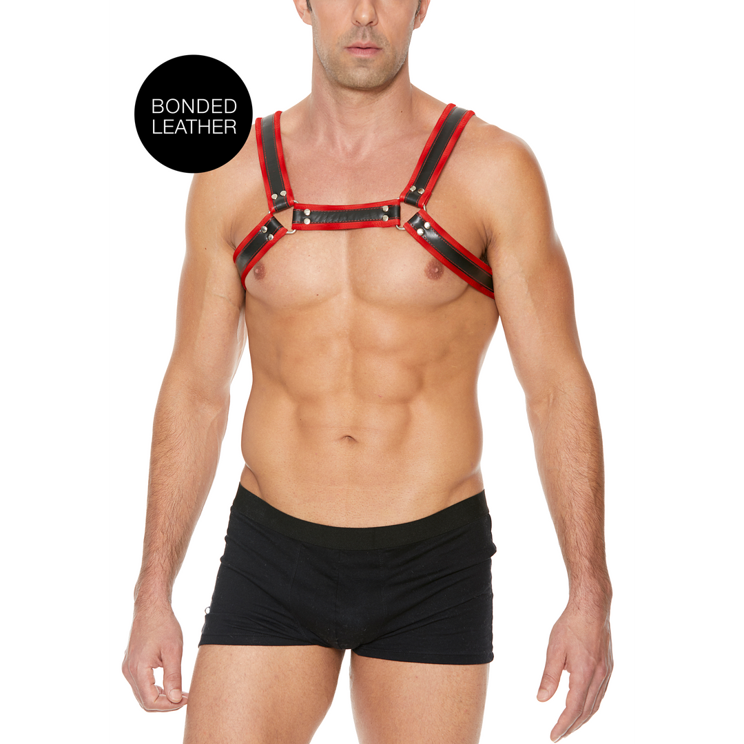 Leren Bulldog Harnas met Gespen – S/M