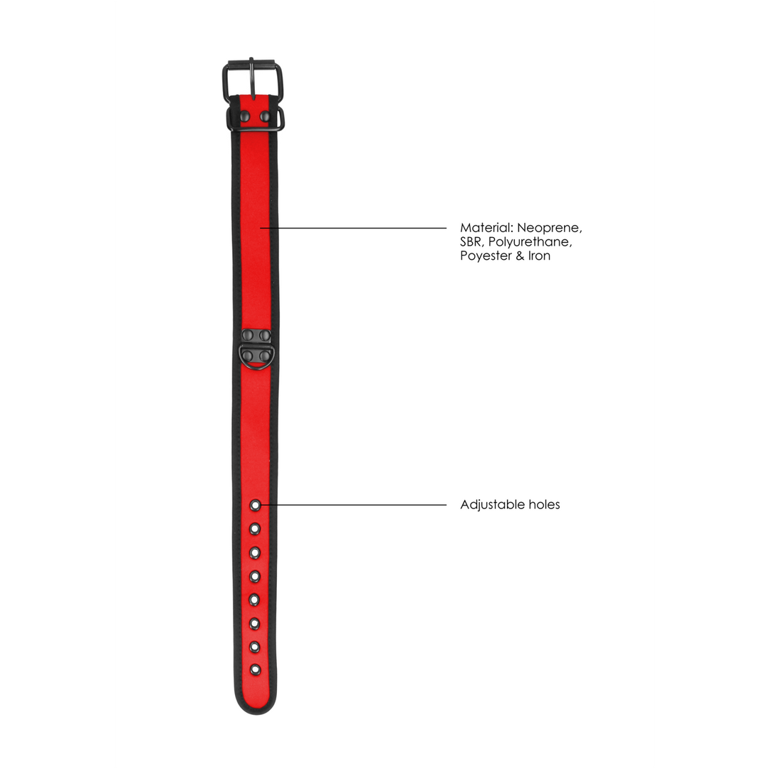 Neopreen Halsband met Leash