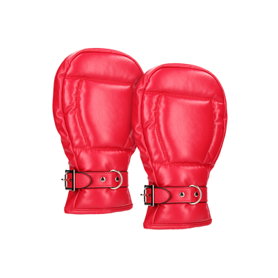 Neopreen Hondenhandschoenen