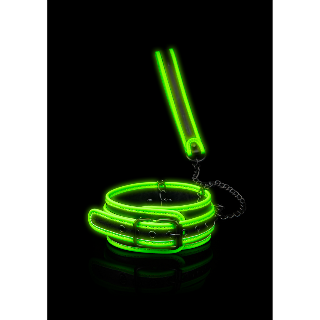 Halsband en Leash – Glo in het Donker