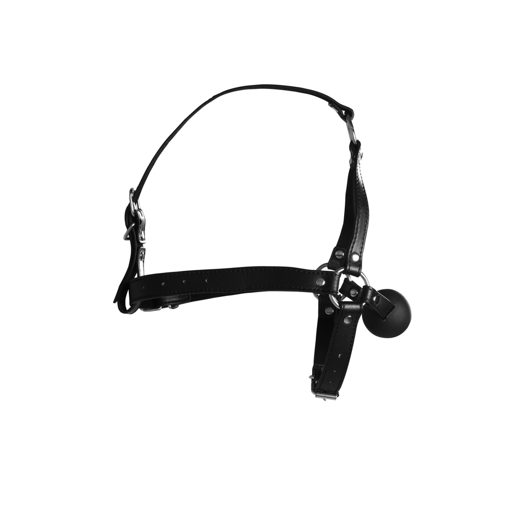 Hoofdharnas met Solid Ball Gag – Zwart