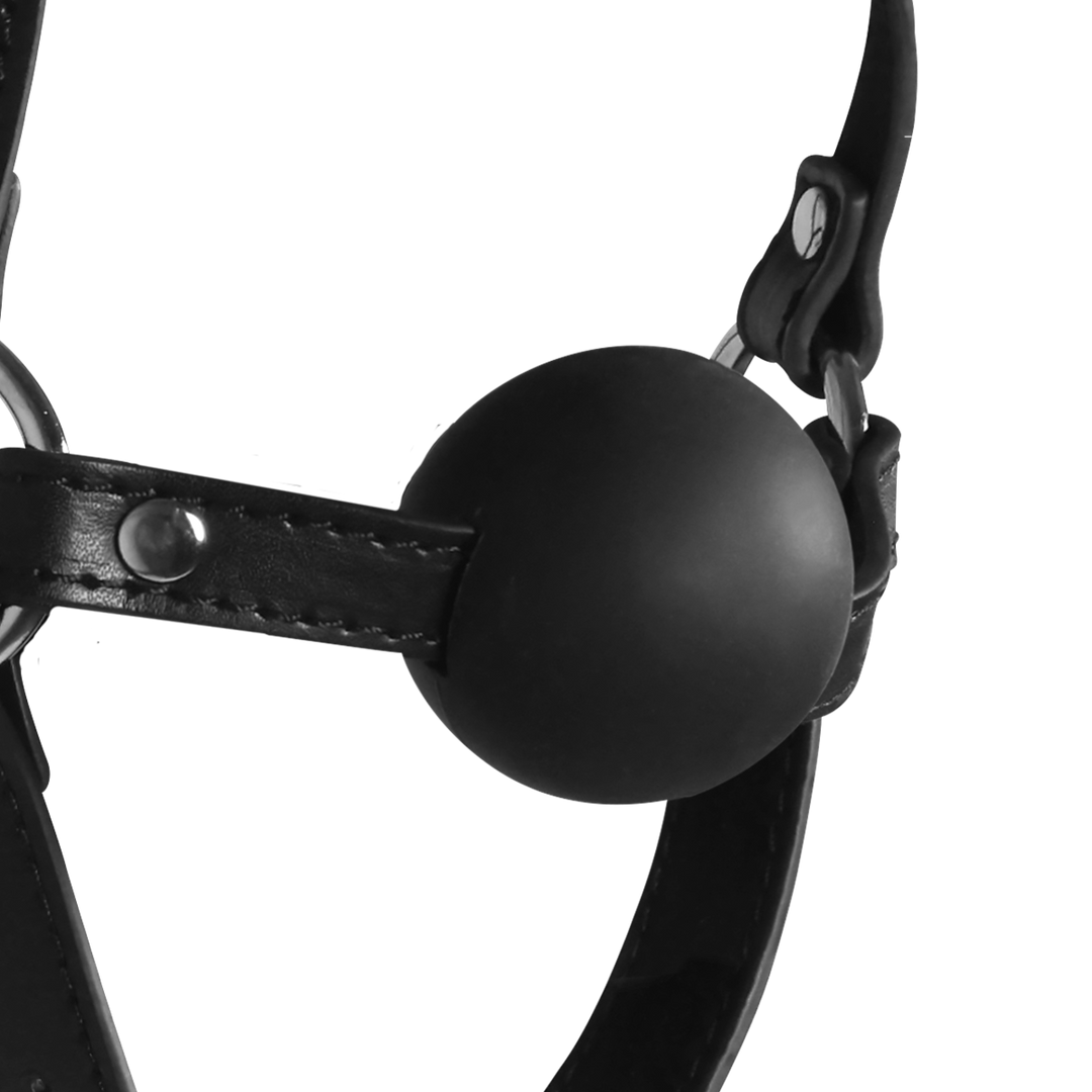 Blindfolded Head Harness met Solid Ball Gag – Zwart