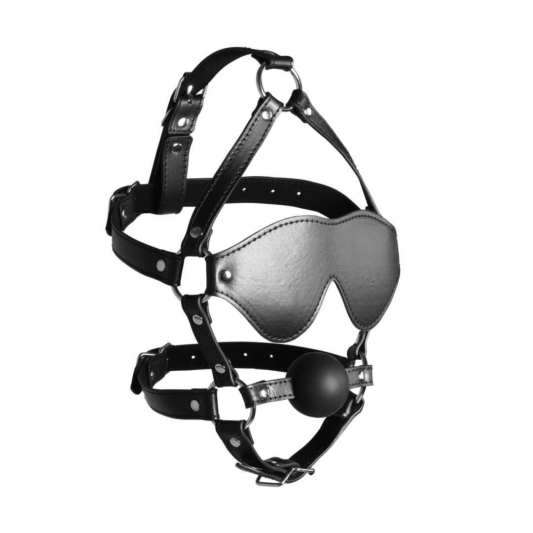 Blindfolded Head Harness met Solid Ball Gag – Zwart