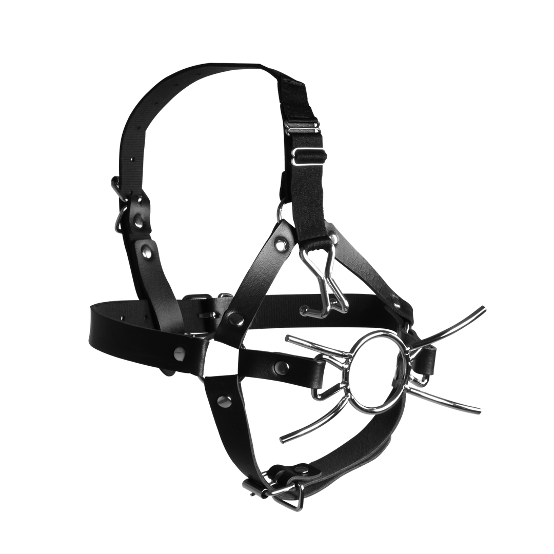 Hoofdharnas met Spider Gag en Neus Haken – Zwart