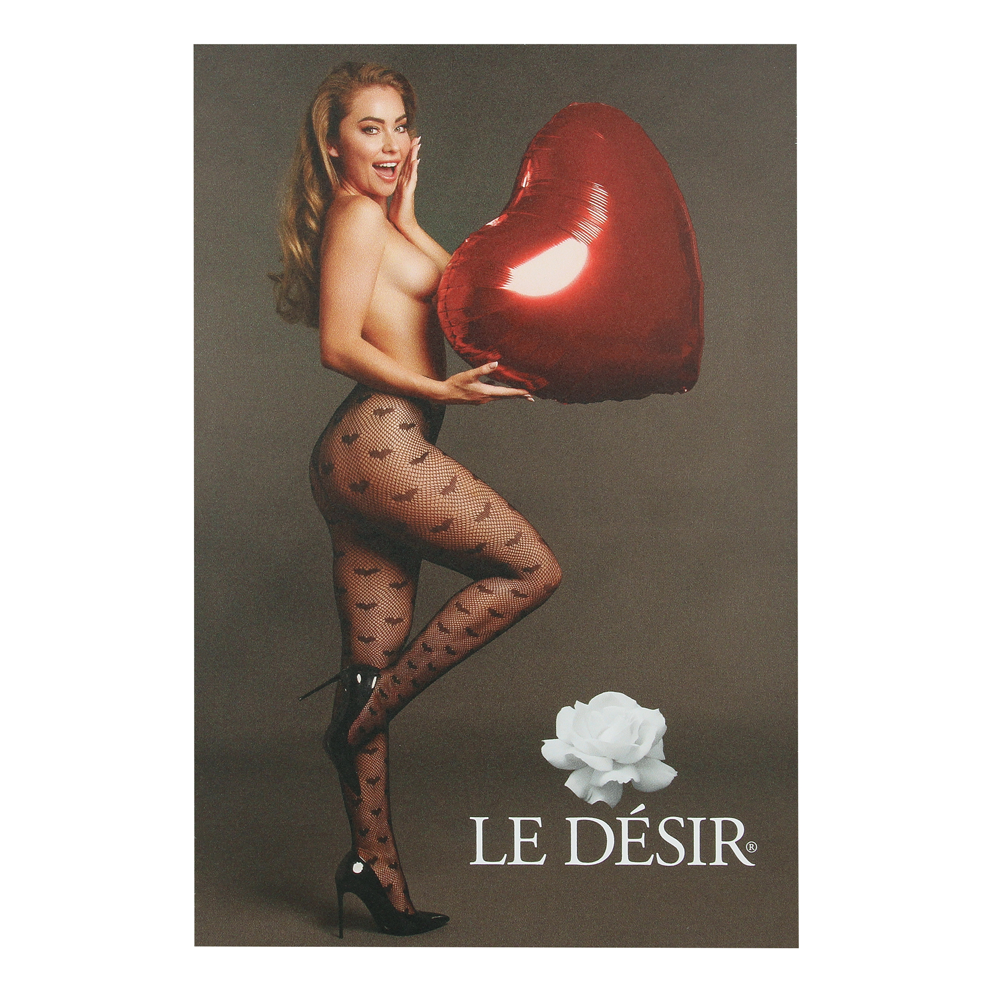Le Désir Shimmer Marketing Package