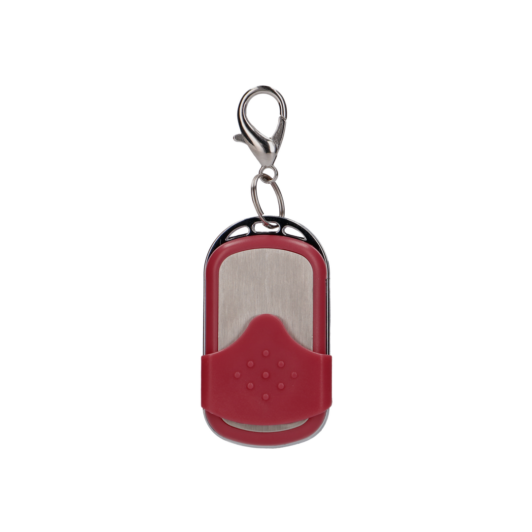 Draadloze Vibrerende G-Spot Ei – Groot