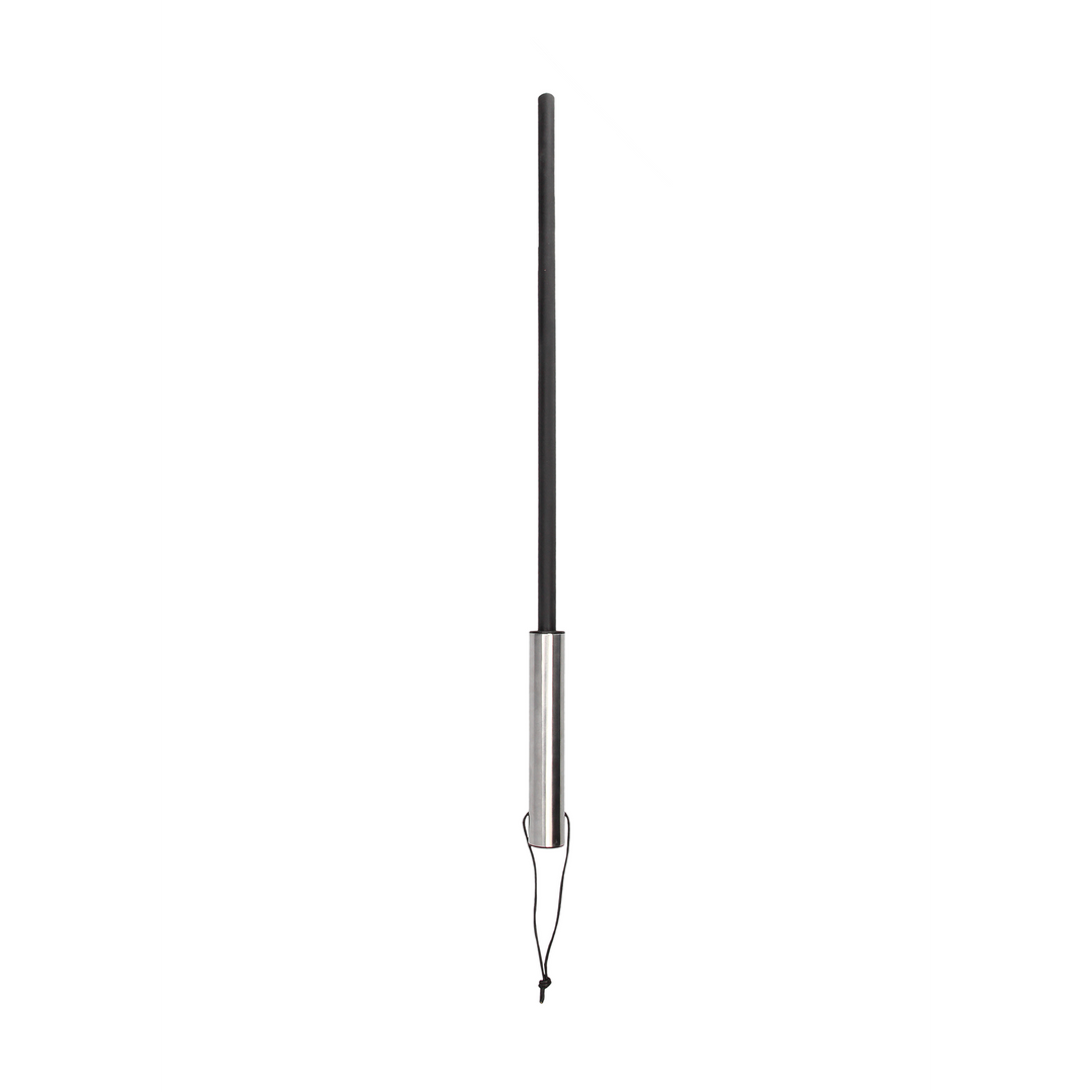 Cane met RVS Handvat