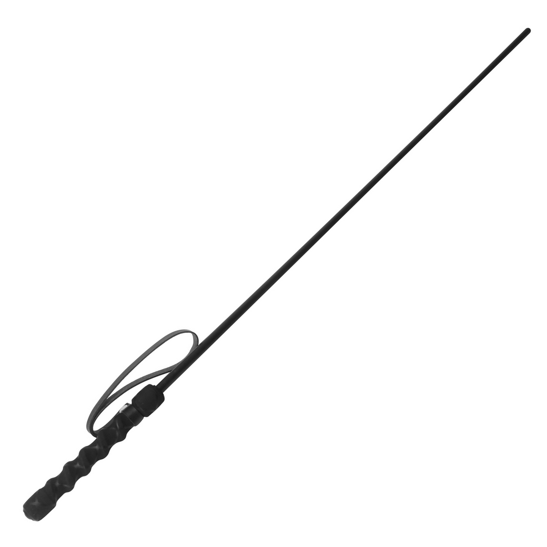 Intense Impact Cane – Zwart