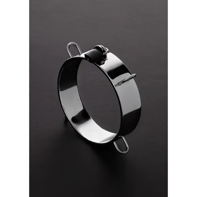 Collar for the Dungeon